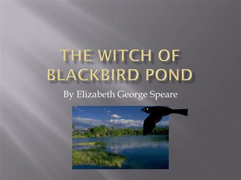The Witch's Retreat: Discovering Her Sanctuary near Blackbird Pond